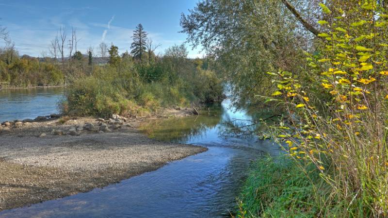 Die Halbinsel im Reuss