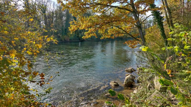 Der Fenster zum Reuss