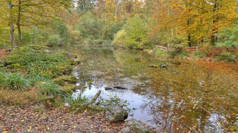 Ein Weiher beim Degenried