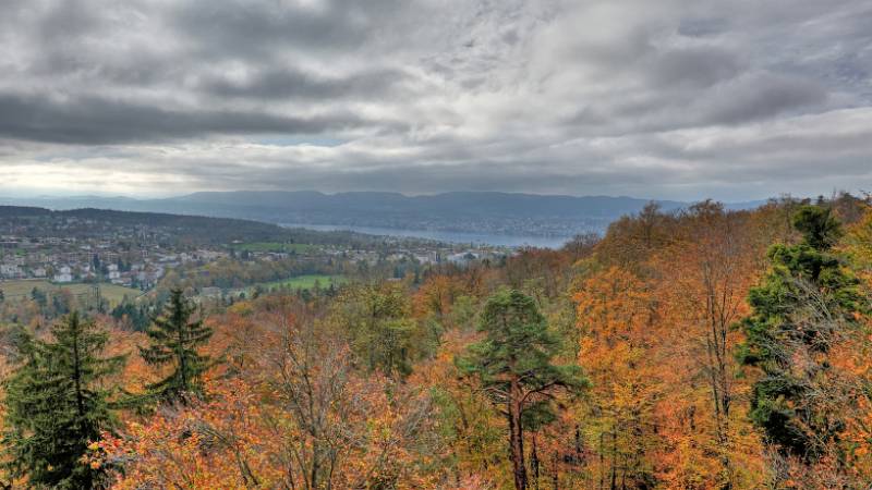 Blick Richtung Zürichsee vom Loorenkopfturm