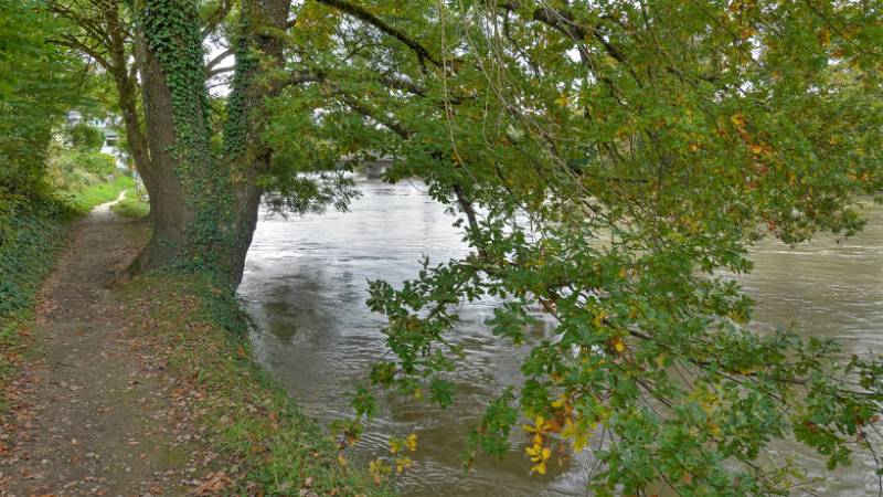 Schöner Weg am Ufer