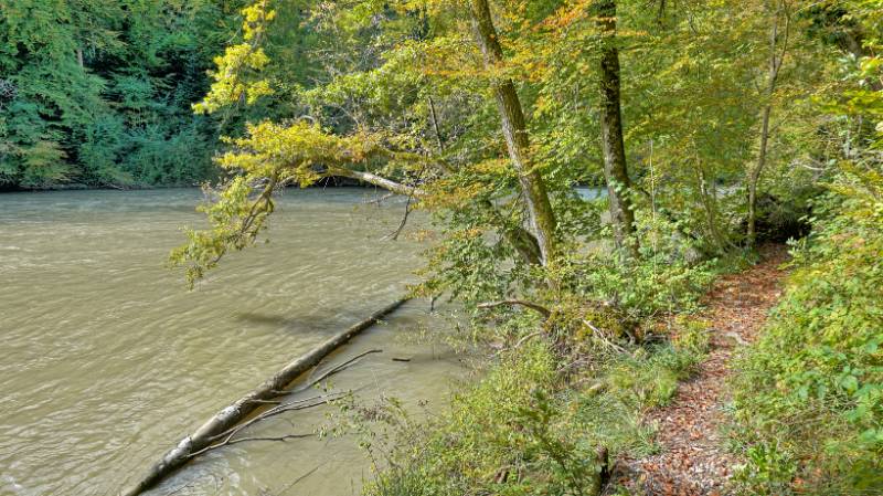 241005-reuss-ufer-gebenstorf-birmenstorf-baldegg-09310_1_2