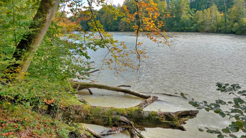 Die ersten Herbstfarben