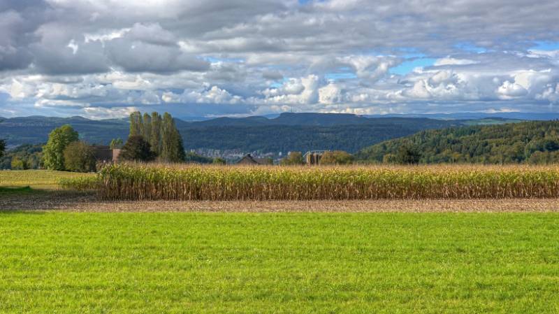 Die Aussichten oberhalb von Petersberg