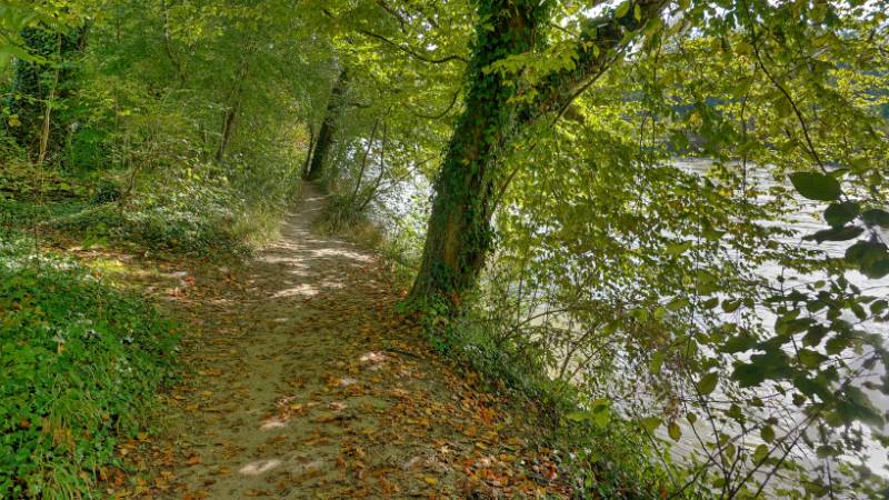 Gemütlicher Wanderweg am Ufer