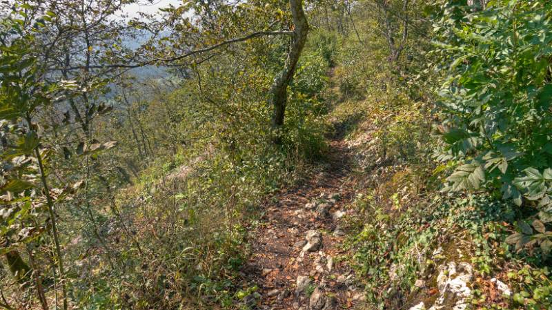 Schöner Wanderweg auf dem Lägern-Grat Richtung Burghorn