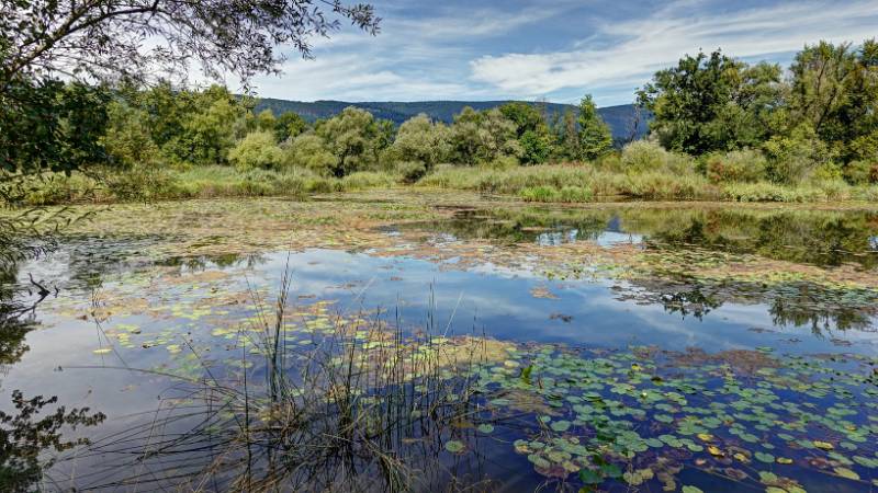 Spaziergang rundum Büren an der Aare