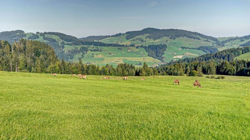 Ruhiger Morgen im Appenzell.