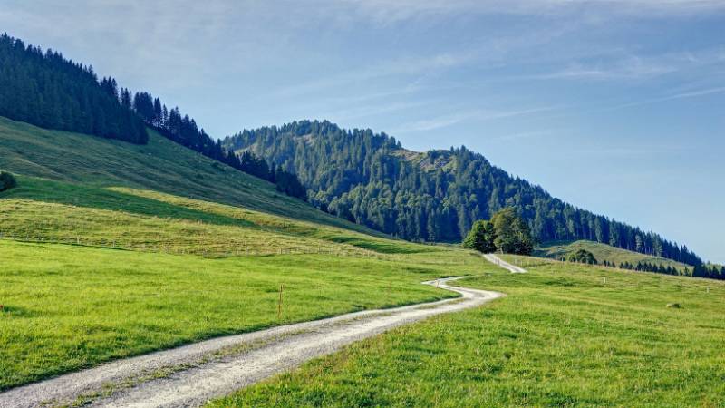 Zuerst auf der Strasse.