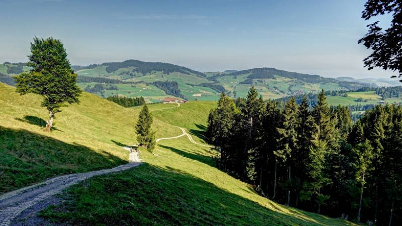 Sehr schöne, hügelige Landschaft.