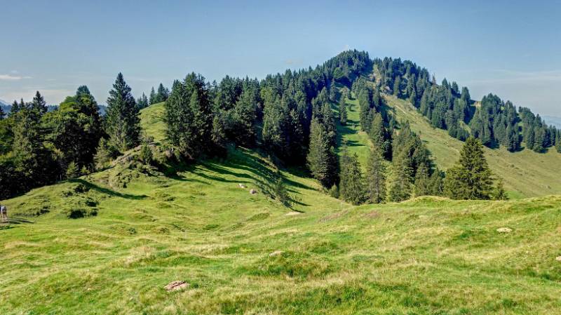 Blick vom Petersalpsattel Richtung Spitzli.