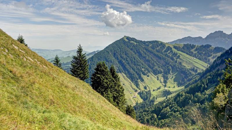 Blick auf Kronberg im Abstieg.