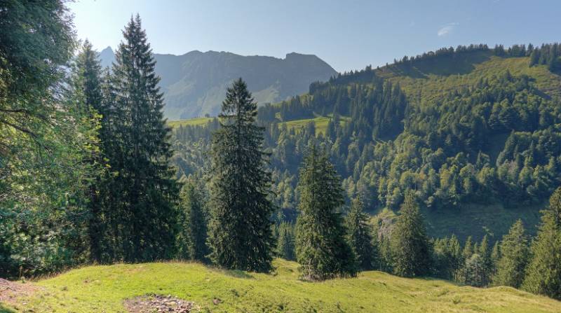 240828-wanderung-spicher-ofenloch-08527_8_9