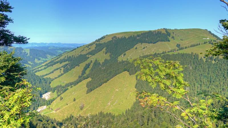 240828-wanderung-spicher-ofenloch-08536_7_8