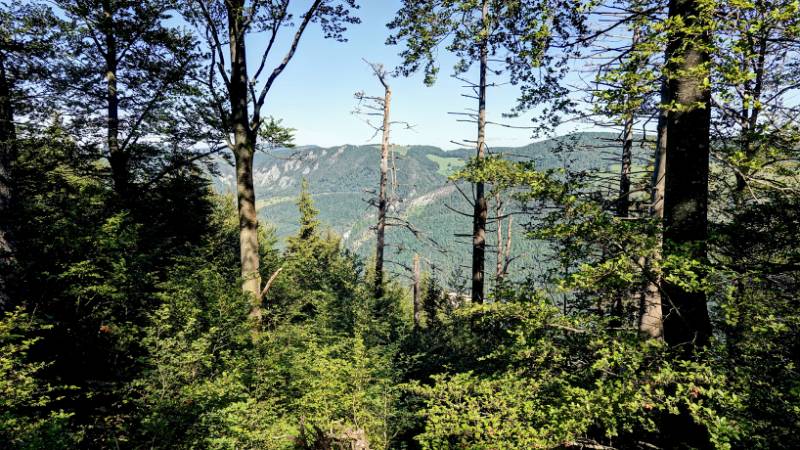 Blick auf die Hügel auf der anderen Seite des Tals