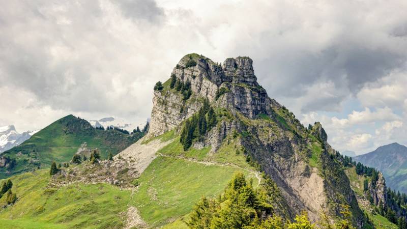 Blick zurück auf den Waderweg