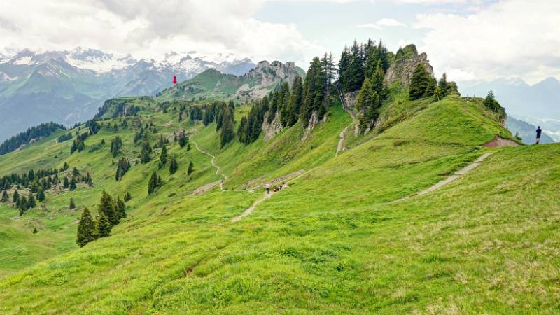 Der Weg zurück: unter dem Pfeil ist Bahnhof Schynige Platte