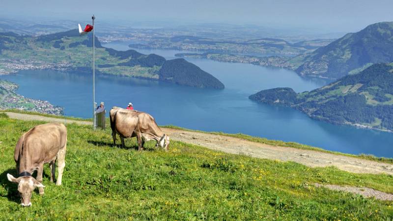 Rundwanderung auf Niederbauen Chulm von Niederbauen aus