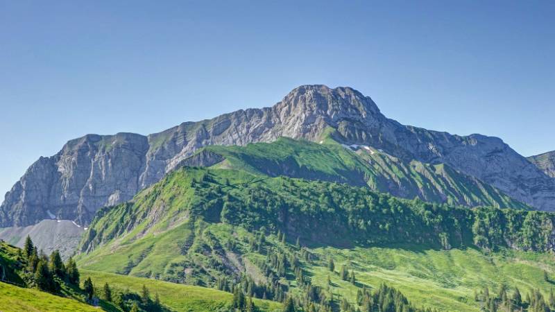 Oberbauenstock. Wanderroute über die grünen Hänge ist sichtbar.