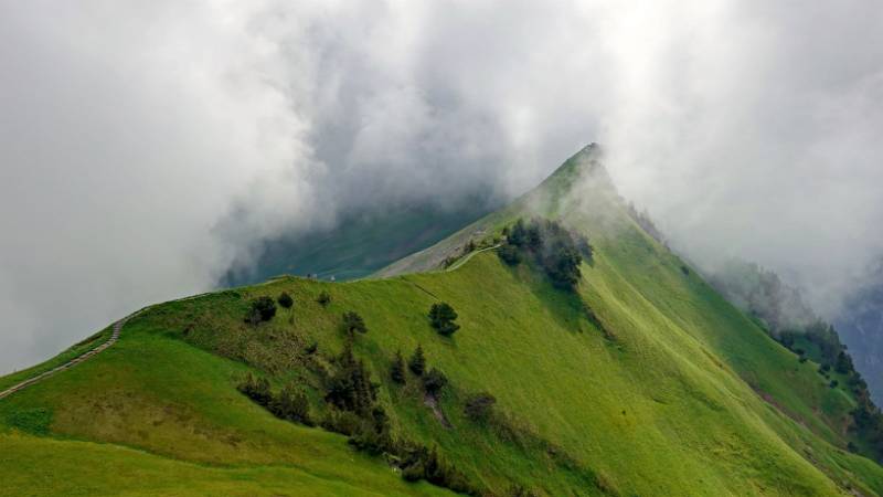 Der Weg führt in den Nebel