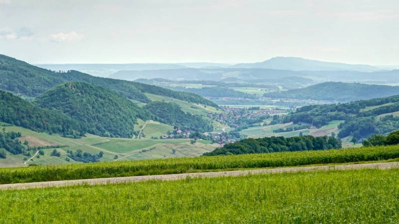 Image Wanderung Hombergegg