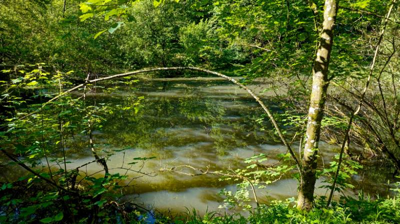 Heubergweiher