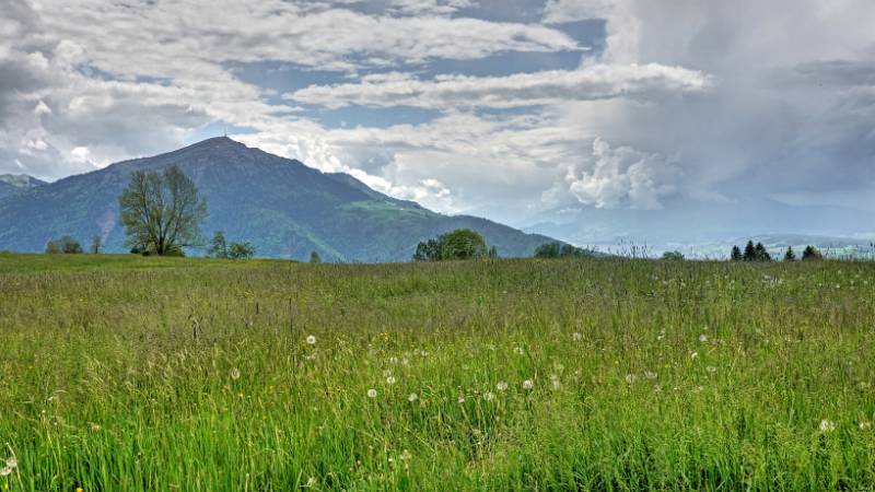 Rigi