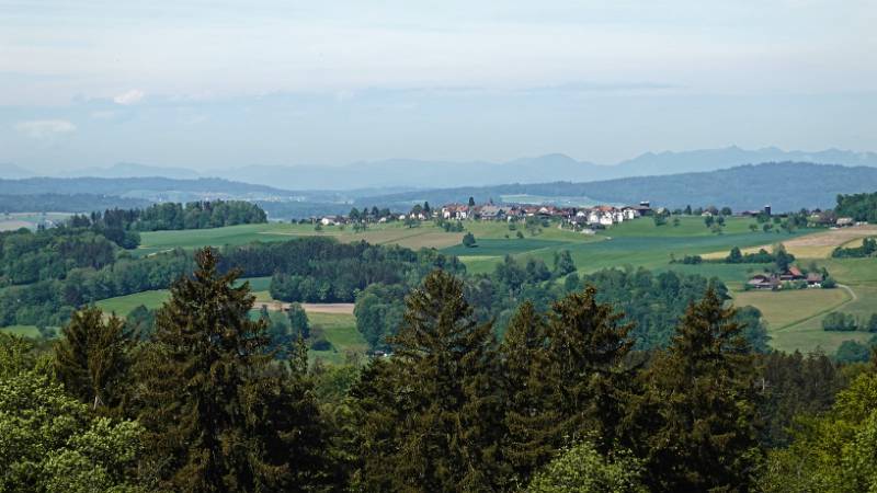 240514-Leimbach-Balderen-Fsllaetschen-zh-07135