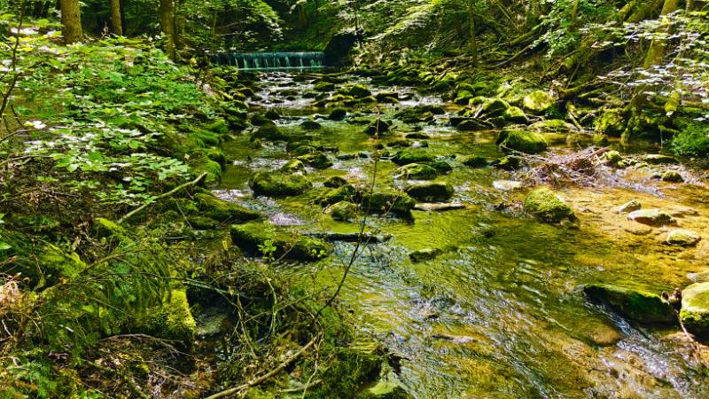 Küsnachter Tobel mit unzähligen Wasserfällen