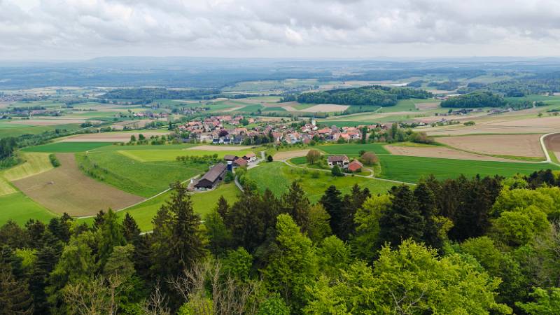 Views vom Irchelturm: Buch am Irchel