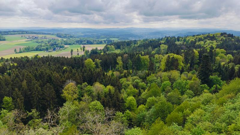 Views vom Irchelturm