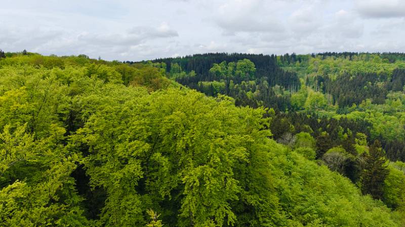 Views vom Irchelturm