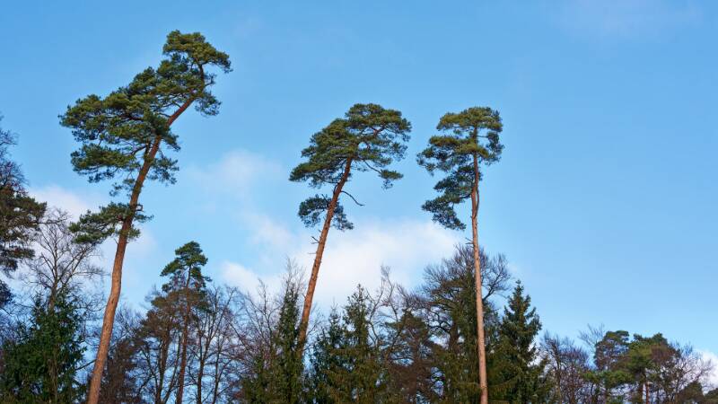 251228-wanderung-zum-mittelpunkt-kt-zuerich-01021x