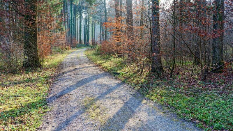 251228-wanderung-zum-mittelpunkt-kt-zuerich-01027x_8x_9x