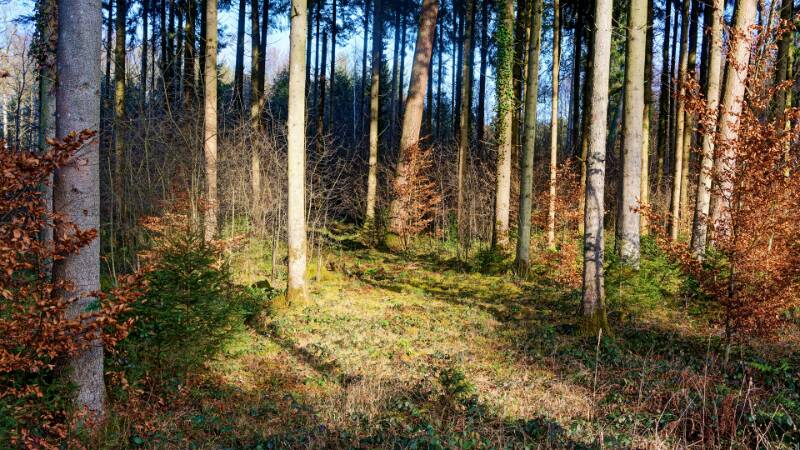 251228-wanderung-zum-mittelpunkt-kt-zuerich-01030x_1x_2x