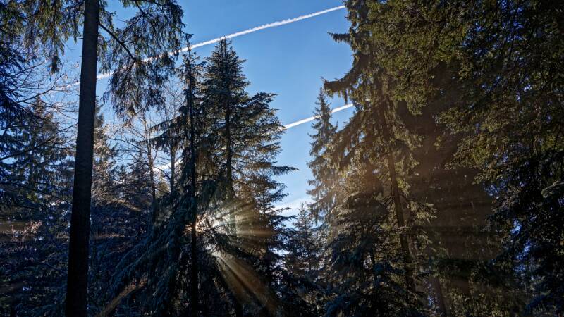 251226-wanderung-wildspitz-ab-gottschalkenberg-00940x_1x_2x