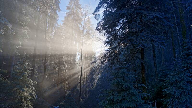 251226-wanderung-wildspitz-ab-gottschalkenberg-00949x_50x_51x