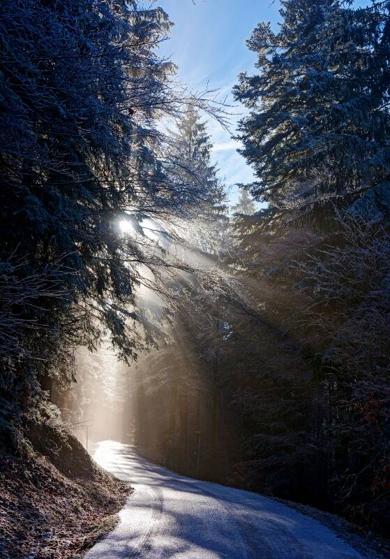 251226-wanderung-wildspitz-ab-gottschalkenberg-00952x_3x_4x