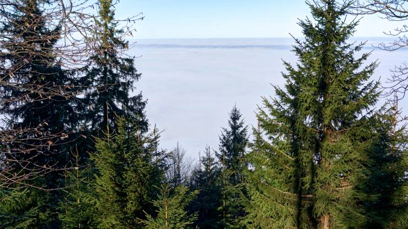 Blick Richtung Zürichsee