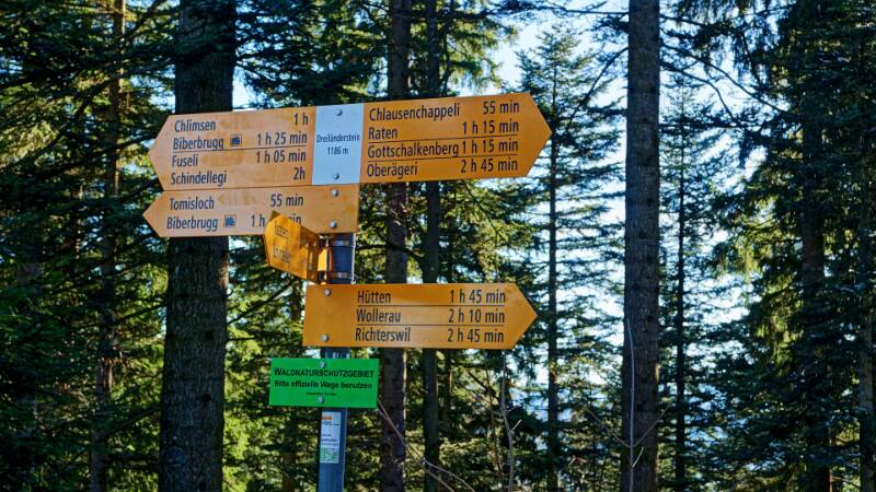 251226-wanderung-wildspitz-ab-gottschalkenberg-00979x_80x_81x