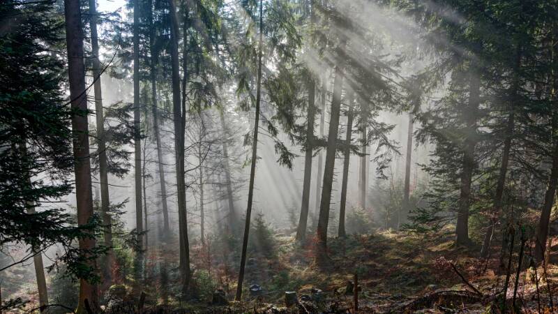 Image Dreiländerstein und Wildspitz