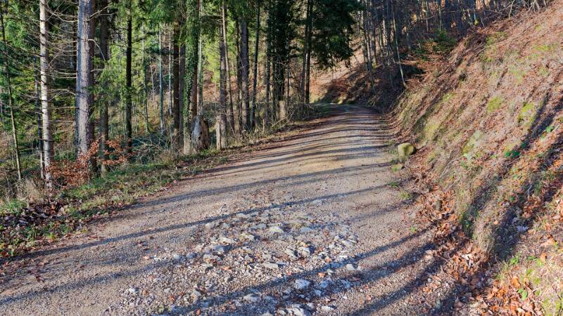 Die Waldstrasse auf der Flanke von Lägern