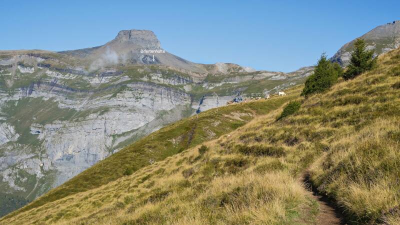 Die Bifertenhütte und Kistenstöckli sind in Sicht, trotzdem noch eine gute