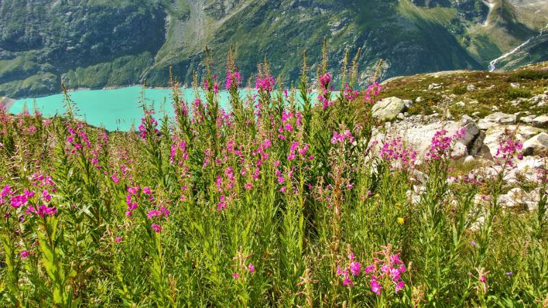 250810-wanderung-bergseehuette-06728_29_30