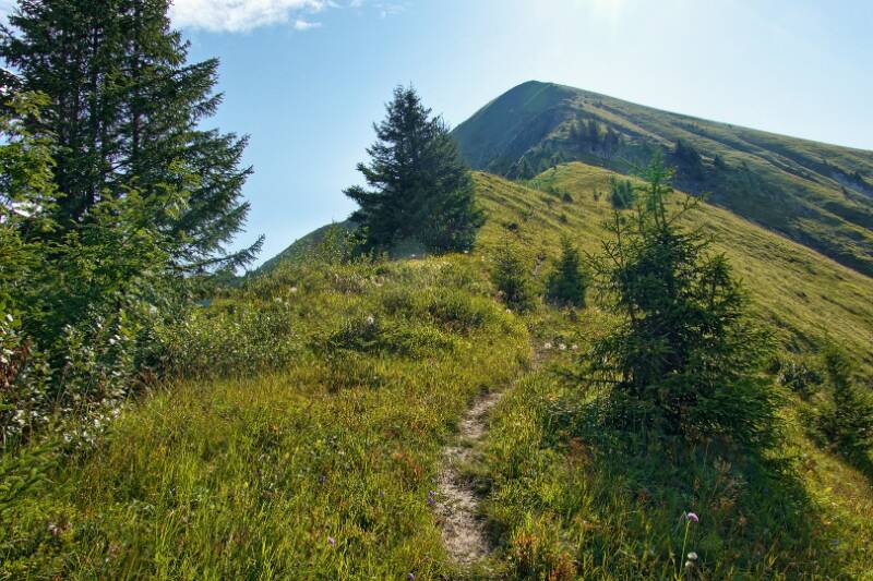Schöner Wanderweg auf dem Grat zum Sassauna