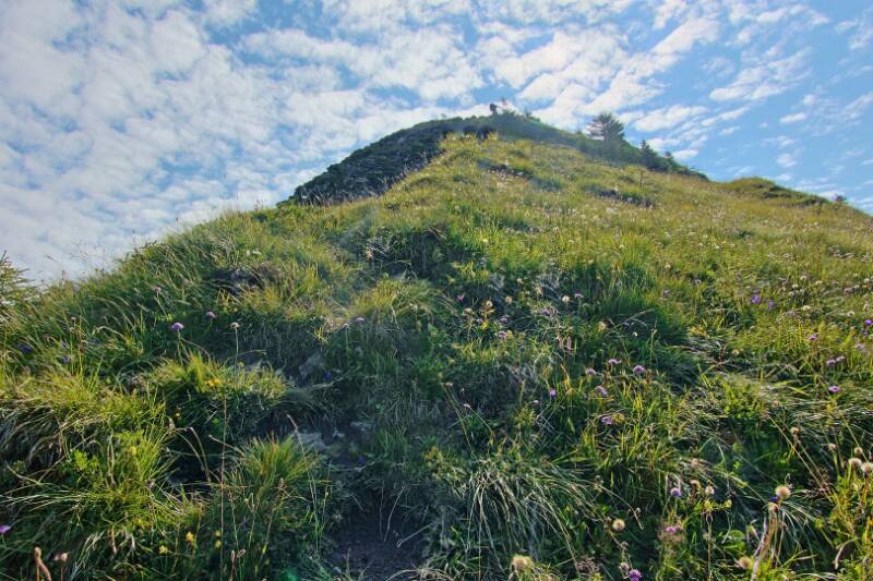 250807-Wanderung-Sassauna-06500_1_2