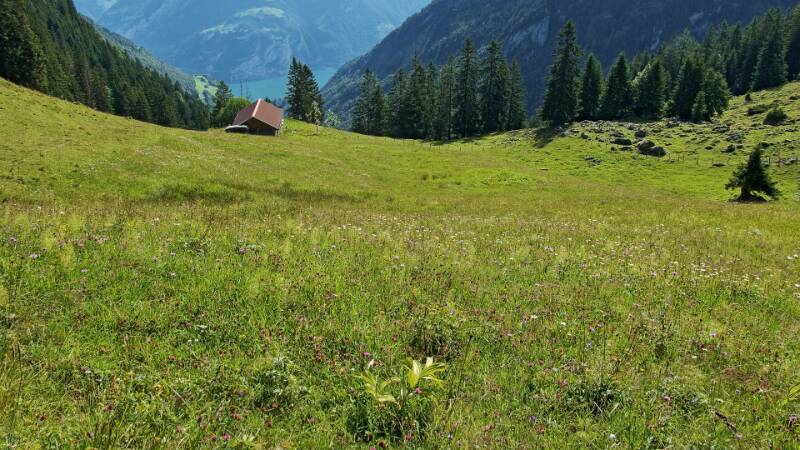 Blick vom Sattel Richtung Urnersee