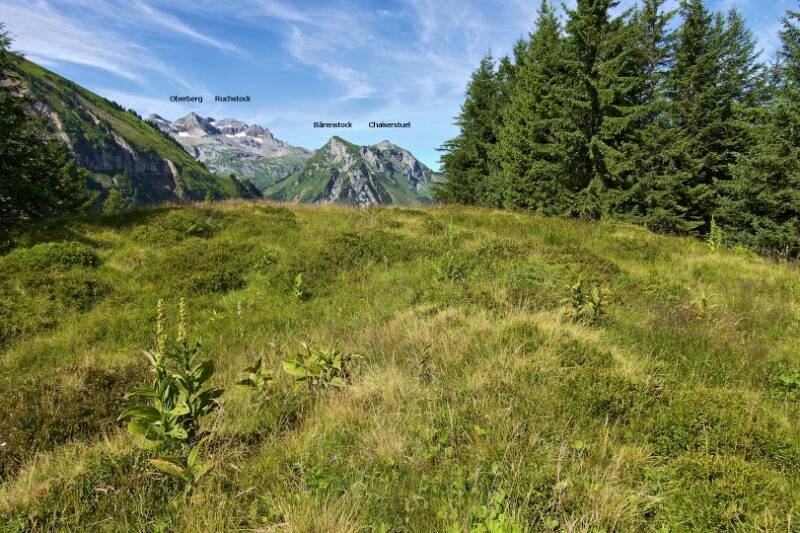 Blick Richtung Chaaiserstuel