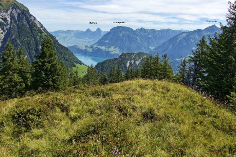 250718-Wanderung-auf-Horn-im-Isenthal-05752_3_4