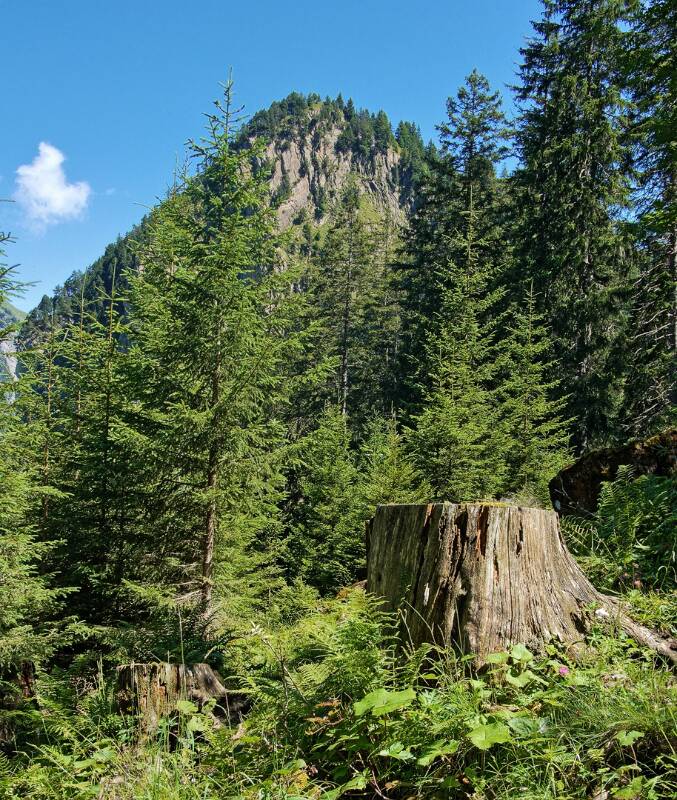 Blick zurück auf Horn im Abstieg